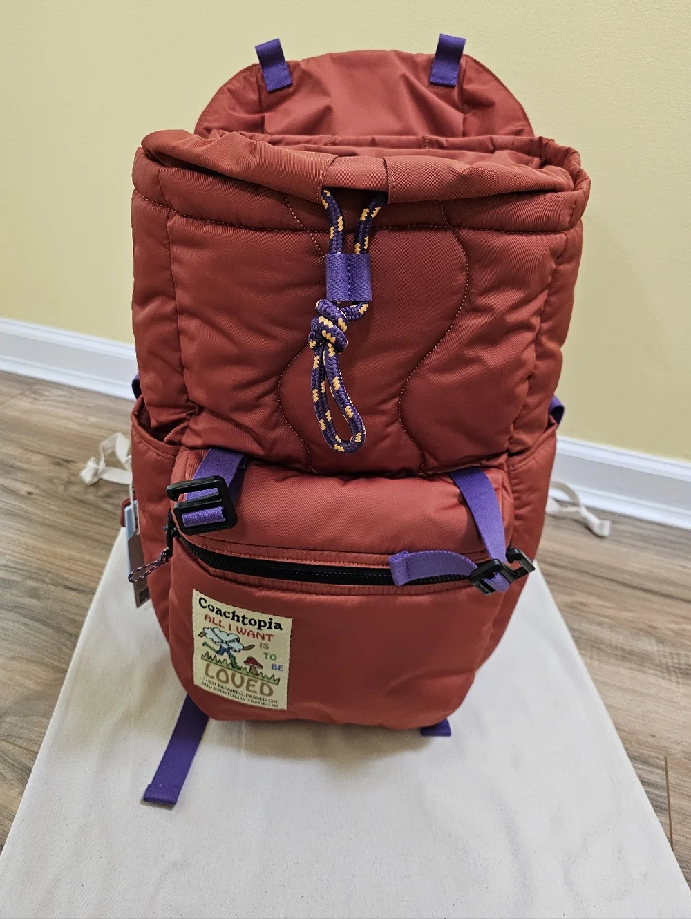 New Coachtopia Loop Backpack - Picture 15 of 17